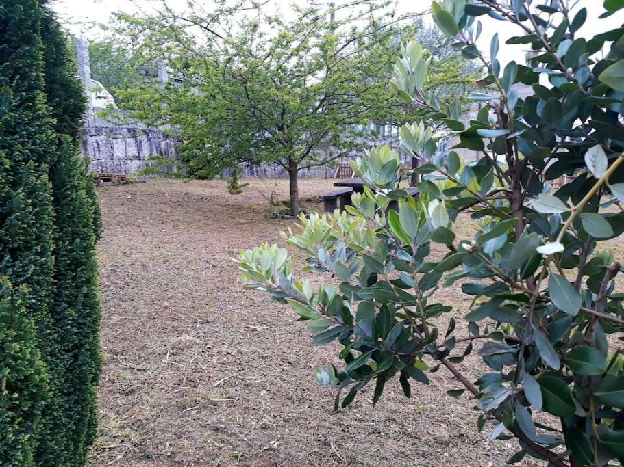Casa Pio, Vistas Islas Cies Nigrán Zewnętrze zdjęcie